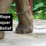 Elephant Rope Story Conquer Your Self-Belief