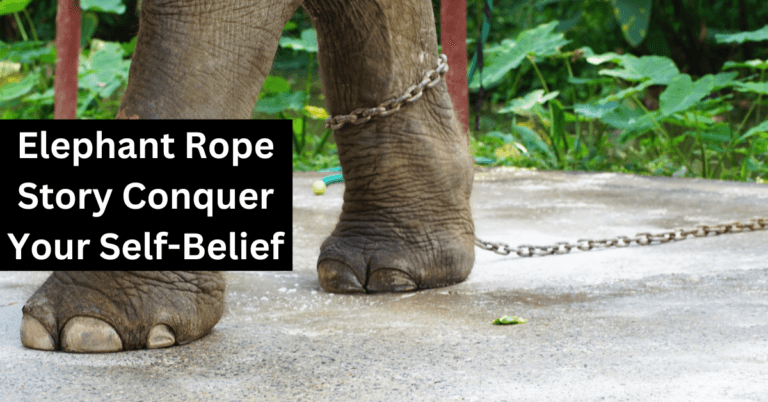 Elephant Rope Story Conquer Your Self-Belief